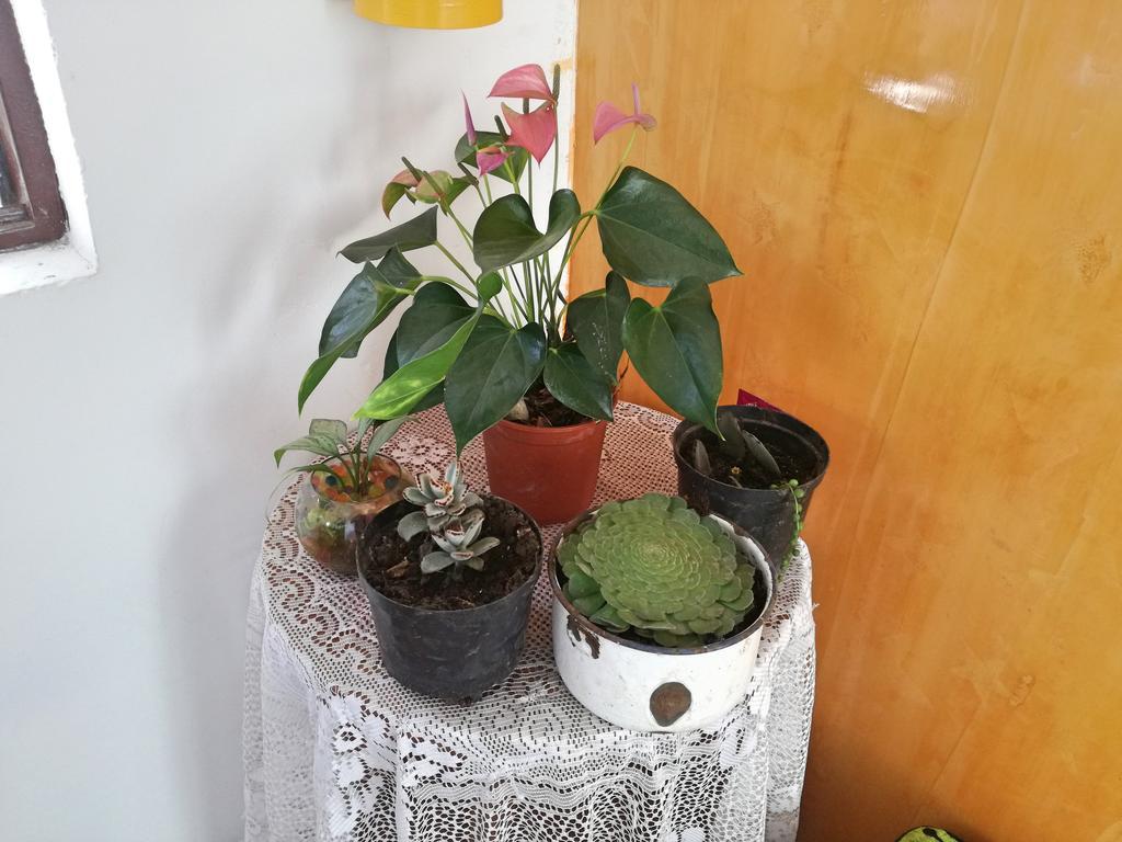 Posada Elenita 살렌토 외부 사진