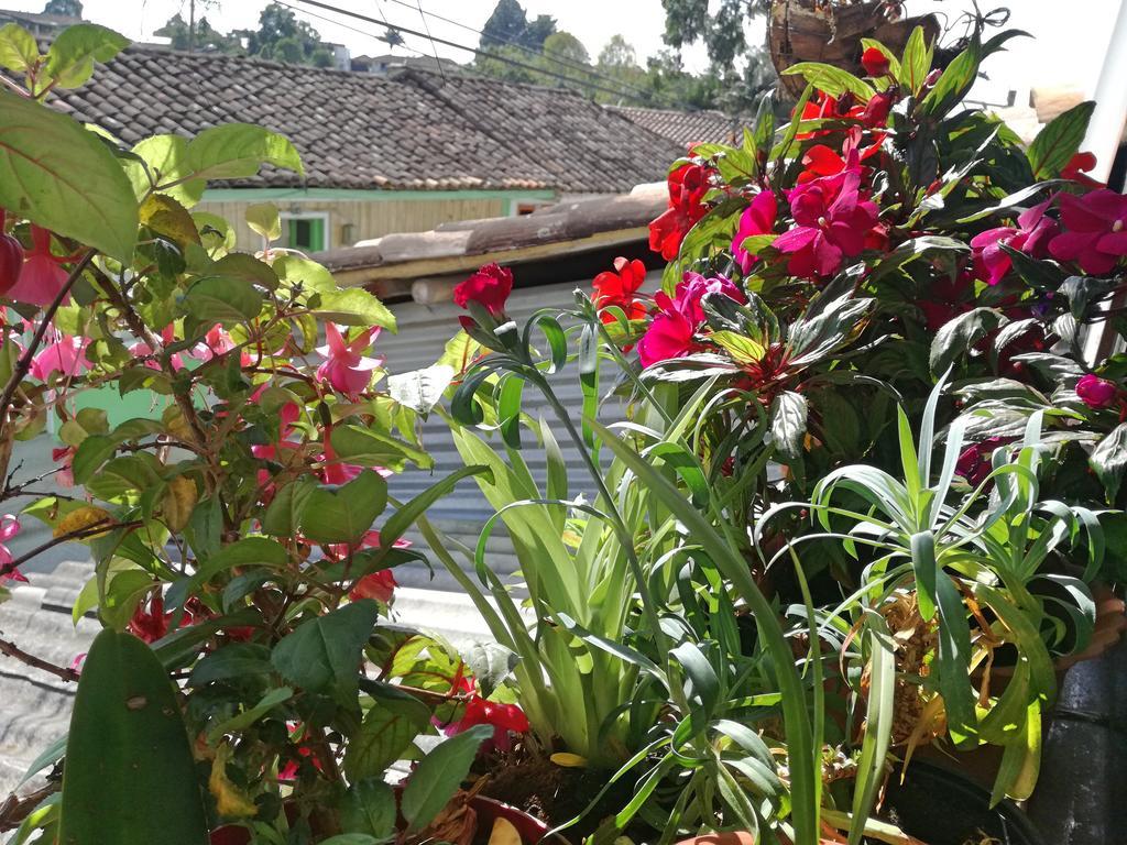 Posada Elenita 살렌토 외부 사진